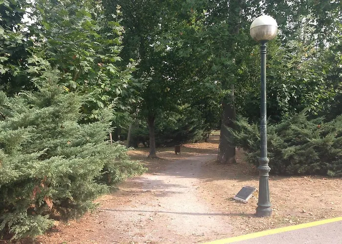 招待所 El Ansar 3*